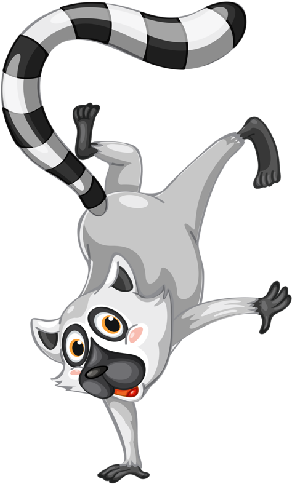 Raccoon Cartoon Animal Images - Nikon Coolpix W100 Kit (500x500)