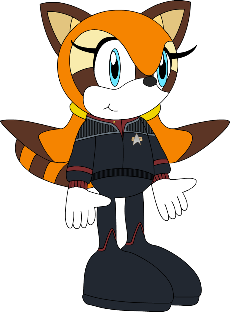 Ensign Marine The Raccoon By Masteraccount - Cartoon (768x1041)