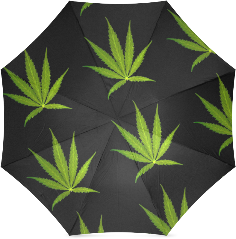 Hw Green Speed - Hot Wheels Hw Green Speed (1000x1000)