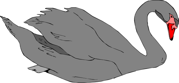 Grey Swan Clipart (600x278)