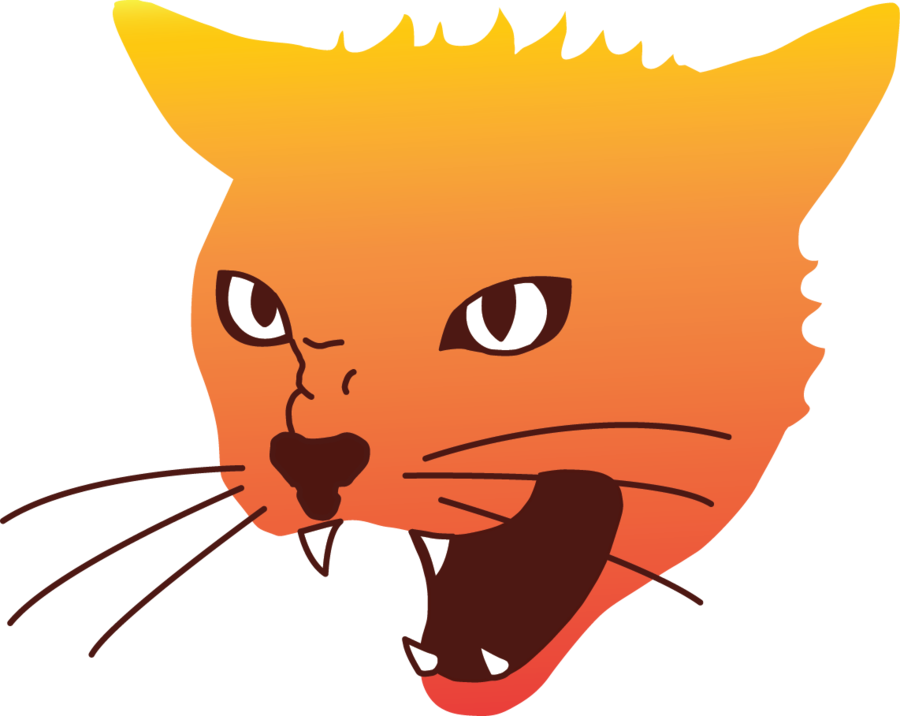 Angry Cat Png Image - Angry Cat Png (900x716)