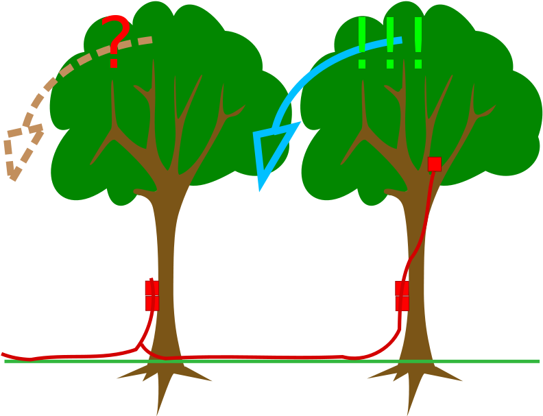 Free Kick Explosives Charge On Timber - Explosive Material (800x619)