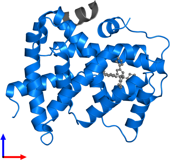 Line Point Technology Body Jewellery Clip Art - Line Point Technology Body Jewellery Clip Art (800x800)