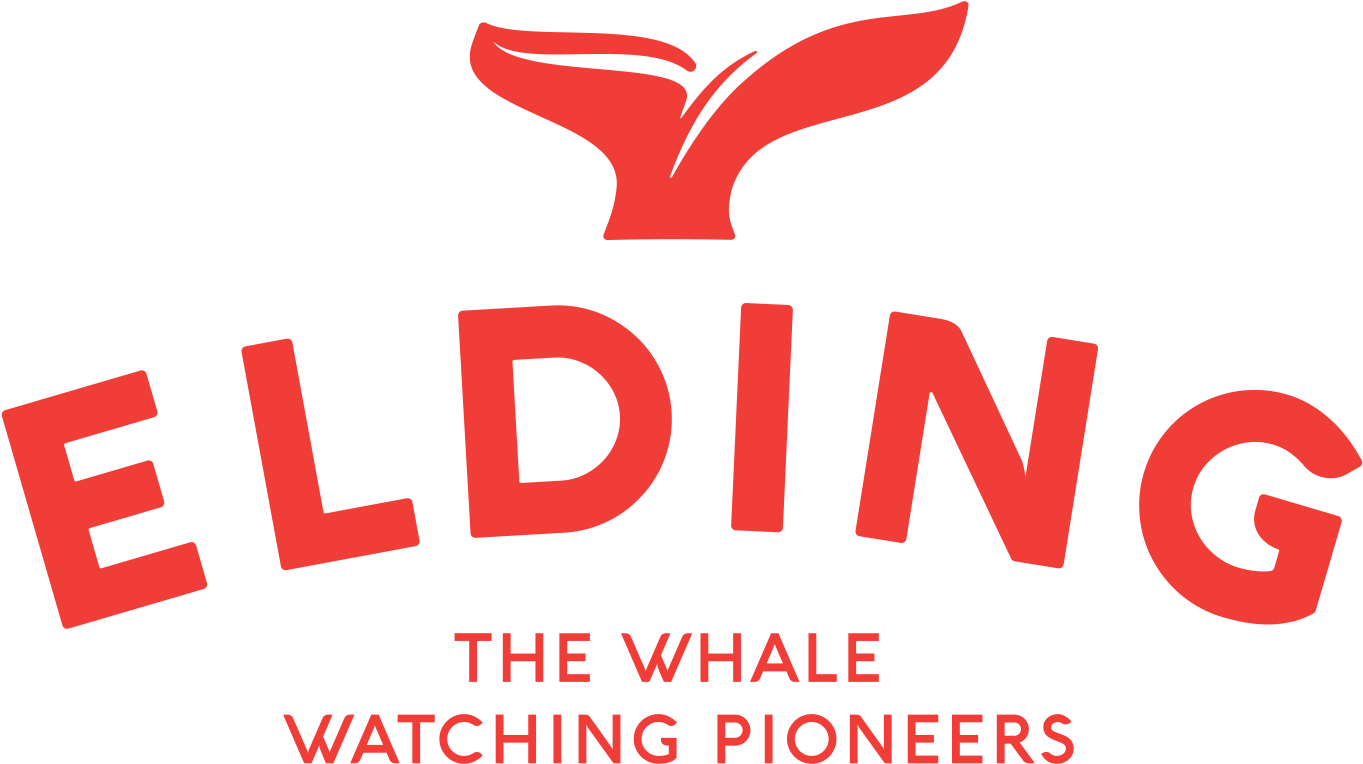 See All Whale Watching Companies - Elding Whale Watching (1771x1181)