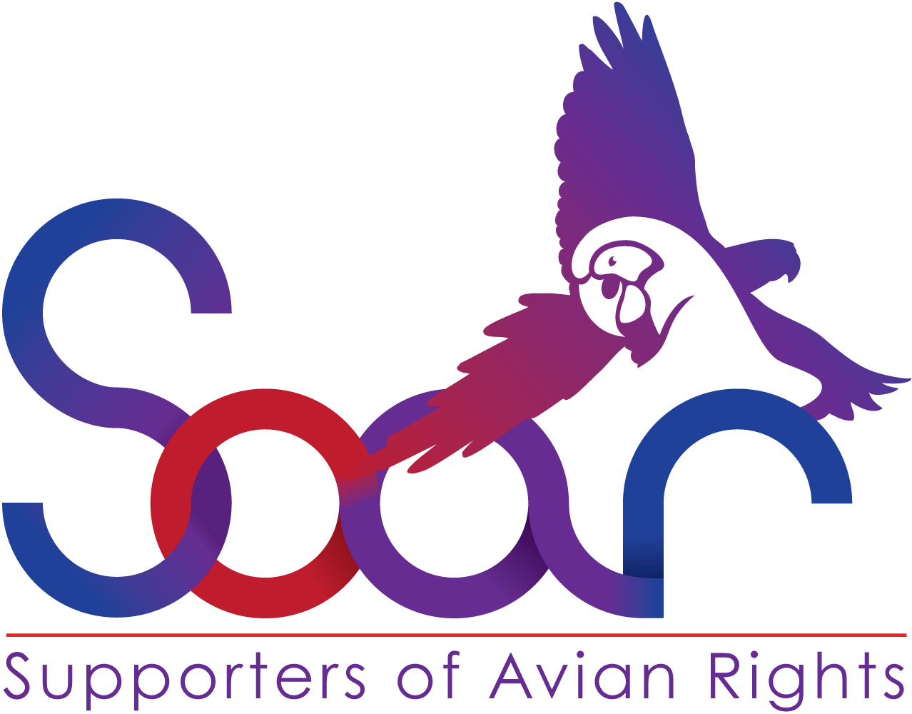 Supporters Of Avian Rights - Illustration (1278x1000)