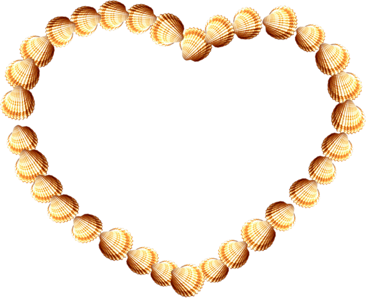 Frame Shells By Lenkinrom - Shells Frame Png (735x600)