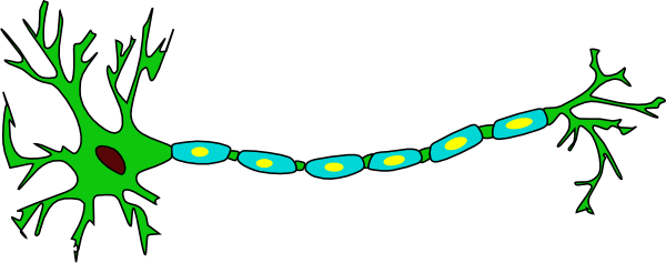 This Free Clip Arts Design Of Neuron Png - Neuron Png (600x237)