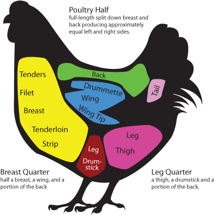 Chicken Meat Cuts - Retail Cuts Of A Chicken (500x453)