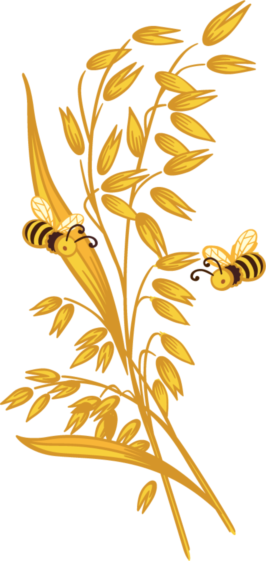 Oatmeal Clipart Thing - Honey Wheat Clip Art (904x1902)