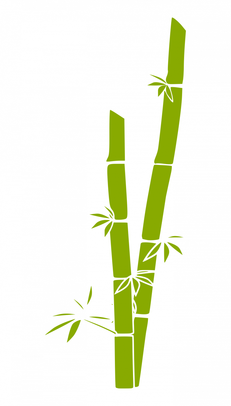 Bamboo Clipart - Bamboo Clip Art (768x1346)