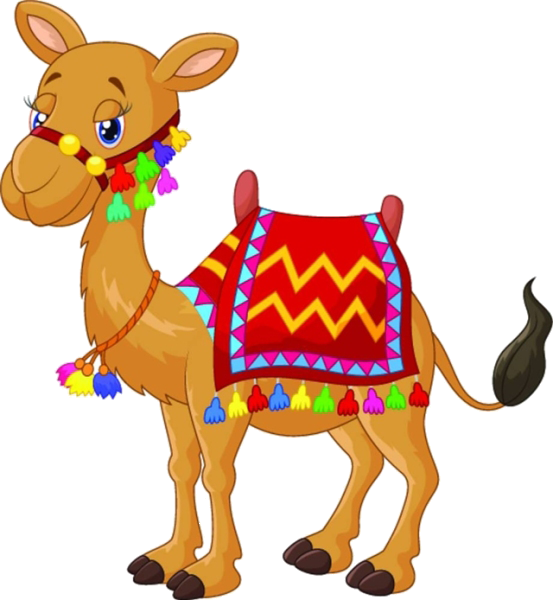 Bactrian Camel Royalty-free Stock Photography Clip - Bactrian Camel Royalty-free Stock Photography Clip (553x600)