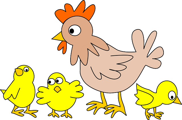 Poultry, Chicken, Animal, Bird, Farm, Hen, Farm Animals - Cartoon Chicken With Chicks (640x420)