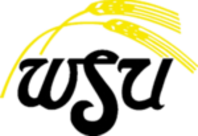 Defeated Loyola Chicago 81-64 - Wichita State Shockers Logo (640x439)