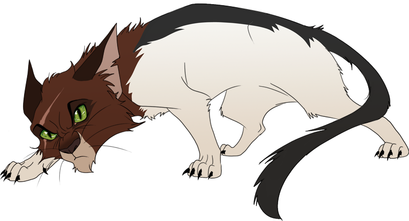 Foxheart By Annagiladi - Bad Warrior Cat Ocs (800x433)