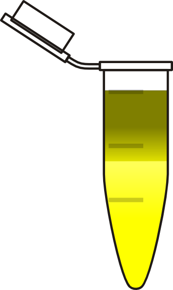 Eppendorf Tube (354x593)