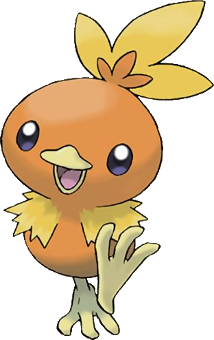 Torchic - Fire Type Bird Pokemon (312x494)