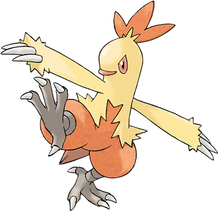 Combusken - Blaziken Pokemon (475x475)