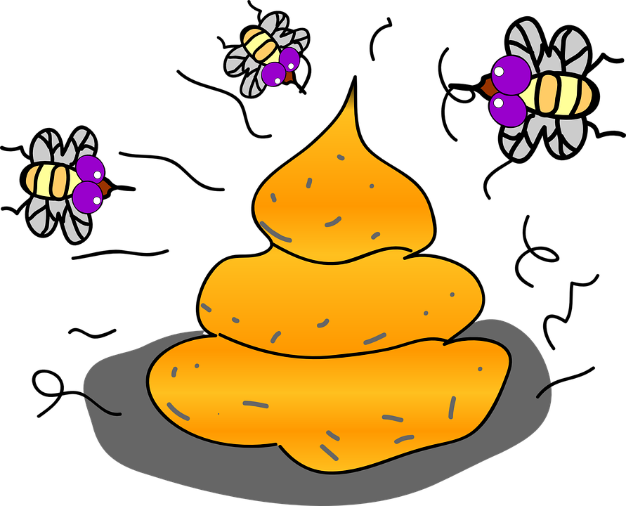 Smelling Food Cliparts 9, - Feces Clipart (891x720)