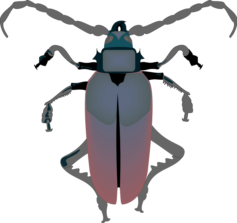 Insect 29 Free Vector - Beetle (800x753)