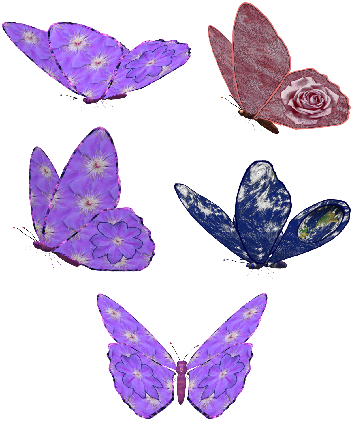 Butterfly Insect Clip Art - Butterfly Insect Clip Art (1368x1560)