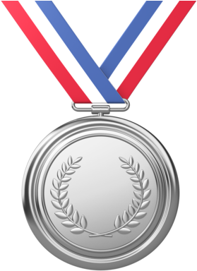 Download Free Transparent Png Image - Olympic Gold Medal Png (325x400)