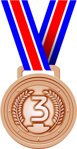Ni, Si, And Self Delusion Bronze Medal Png Png Images - 1st Prize Winner Png (263x510)