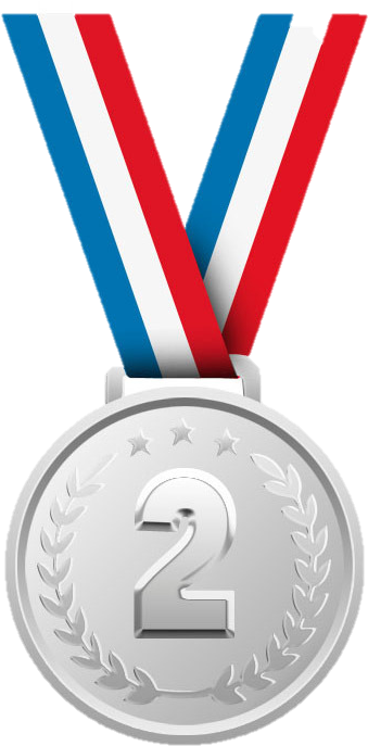 Dan Wins The Silver Medal - Silver Medal No Background (366x698)
