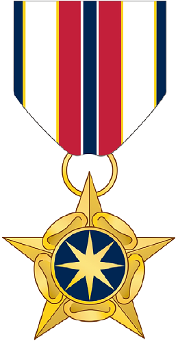Intelligence Community Medal For Valor - National Intelligence Medal For Valor (260x499)