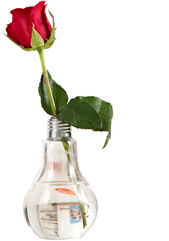 Light Table Gl Vase Flowerpot Rose Png - Light Table Gl Vase Flowerpot Rose Png (800x1200)