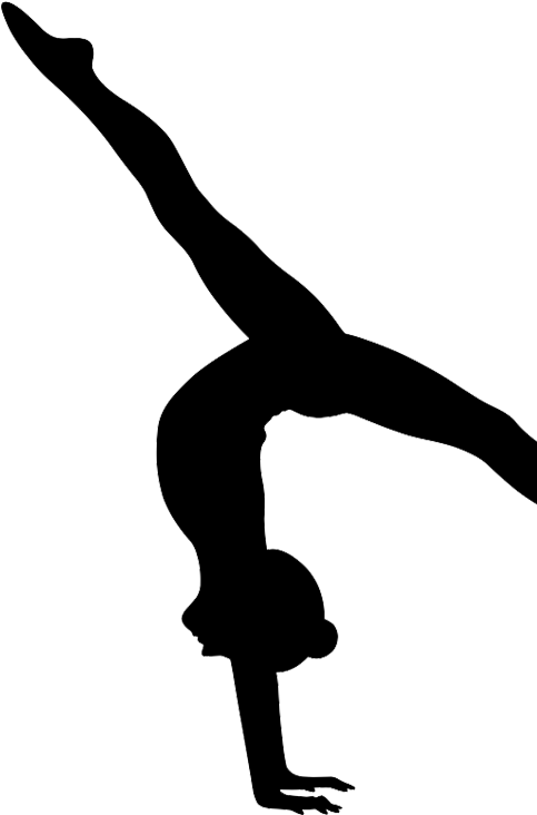 2018 Rising Stars Gymnastics Academy - Gymnastics Png (485x740)