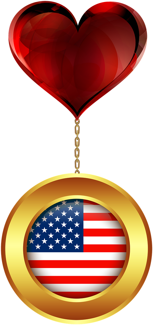 Medal Gold Flag United States Png Image - My Journal: Usa American Flag - Blank Lined Notebook (754x1280)