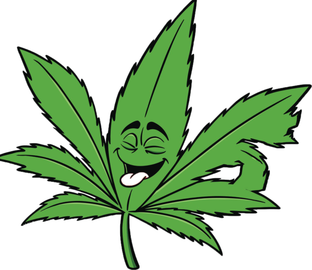 Best Led Grow Lights - Hoja De Marihuanas Dibujo (624x541)