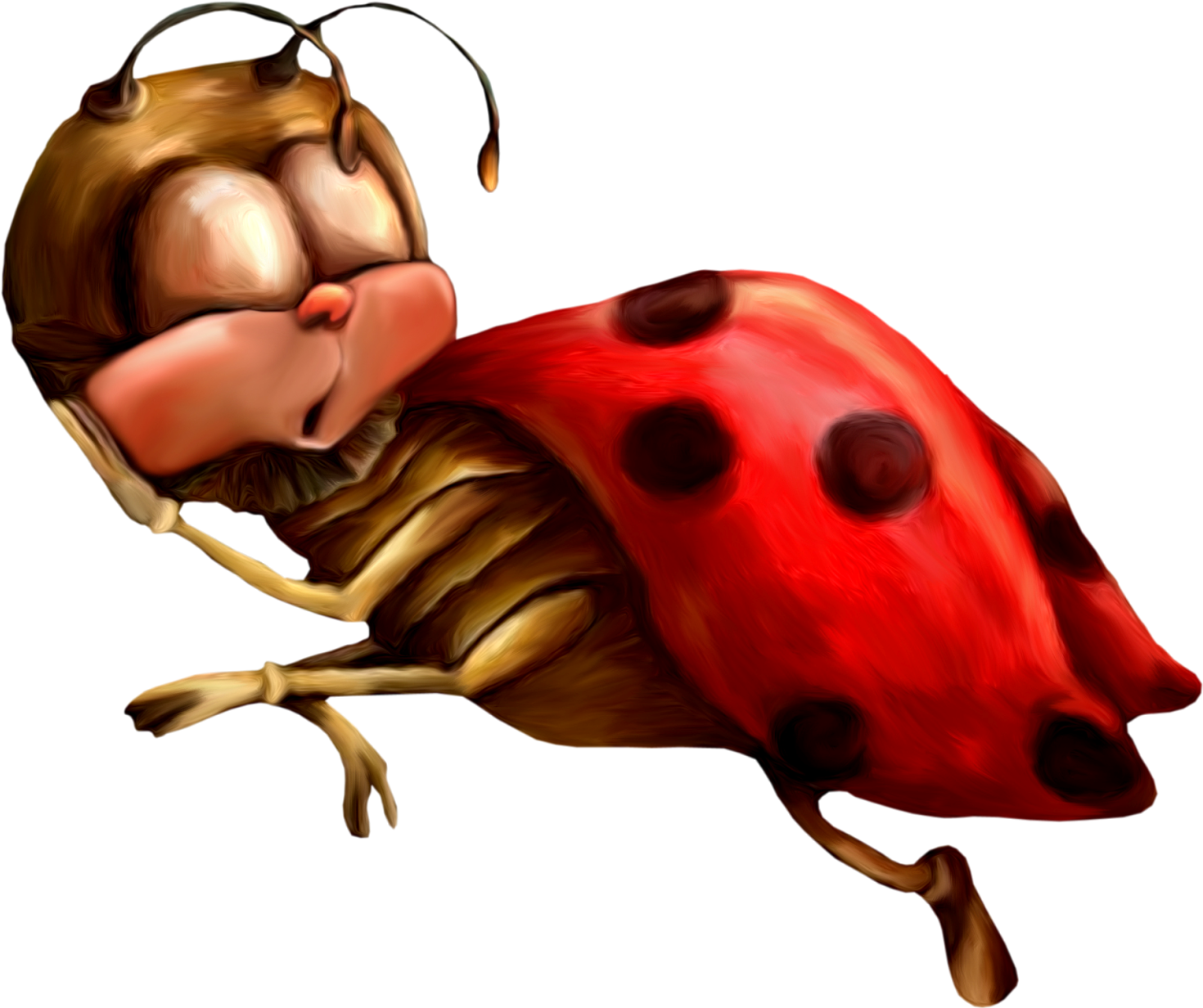 Joaninhas Em Png - Coccinelles Png (1600x1304)