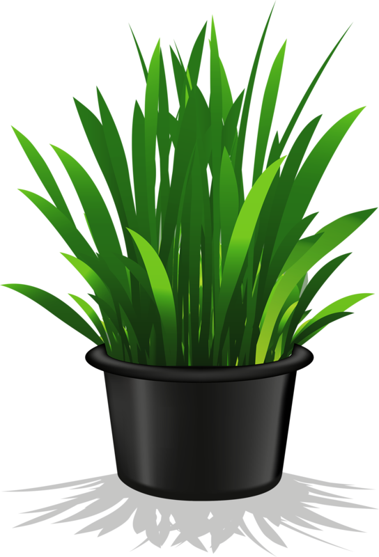 Green Plant Clip Art (544x800)