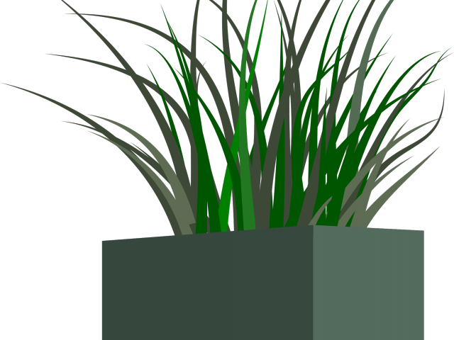 Pot Plant Clipart Planter Box - Lawn (640x480)