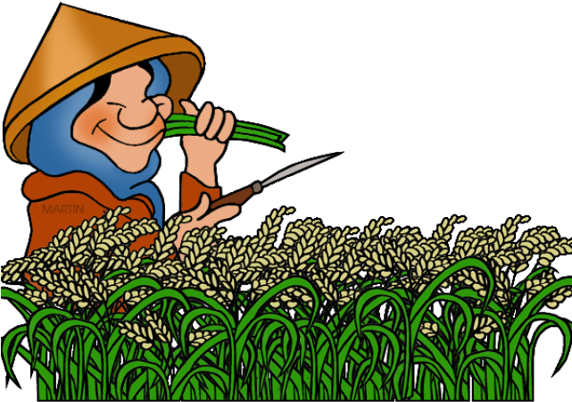 Rice Clipart Fame - Rice (640x480)