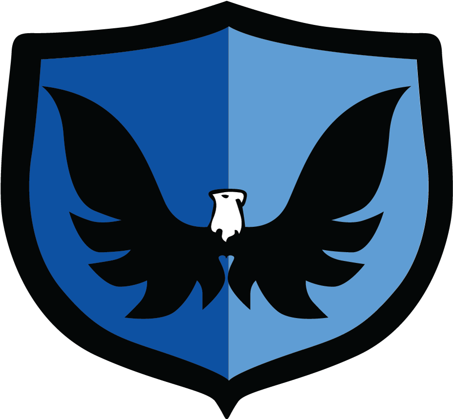 Screaming Eagle Bands - Graphics (1000x903)