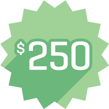 $250 First Funds Power Grant™ Achieved - Best Price Icon (378x417)