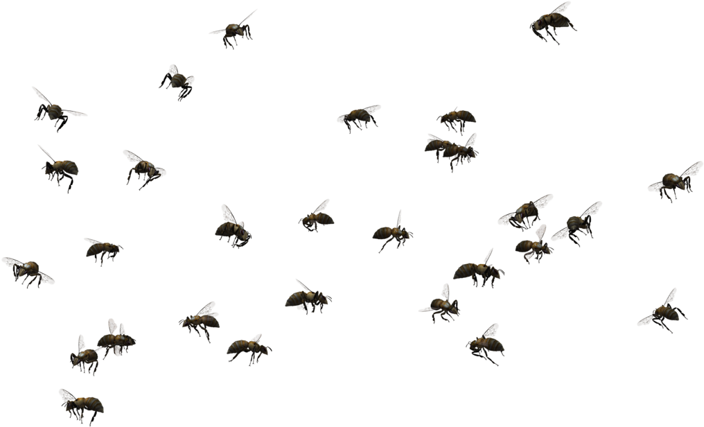 Bee Swarm 02 By Free Stock By Wayne - Swarm Of Bees Png (1024x645)