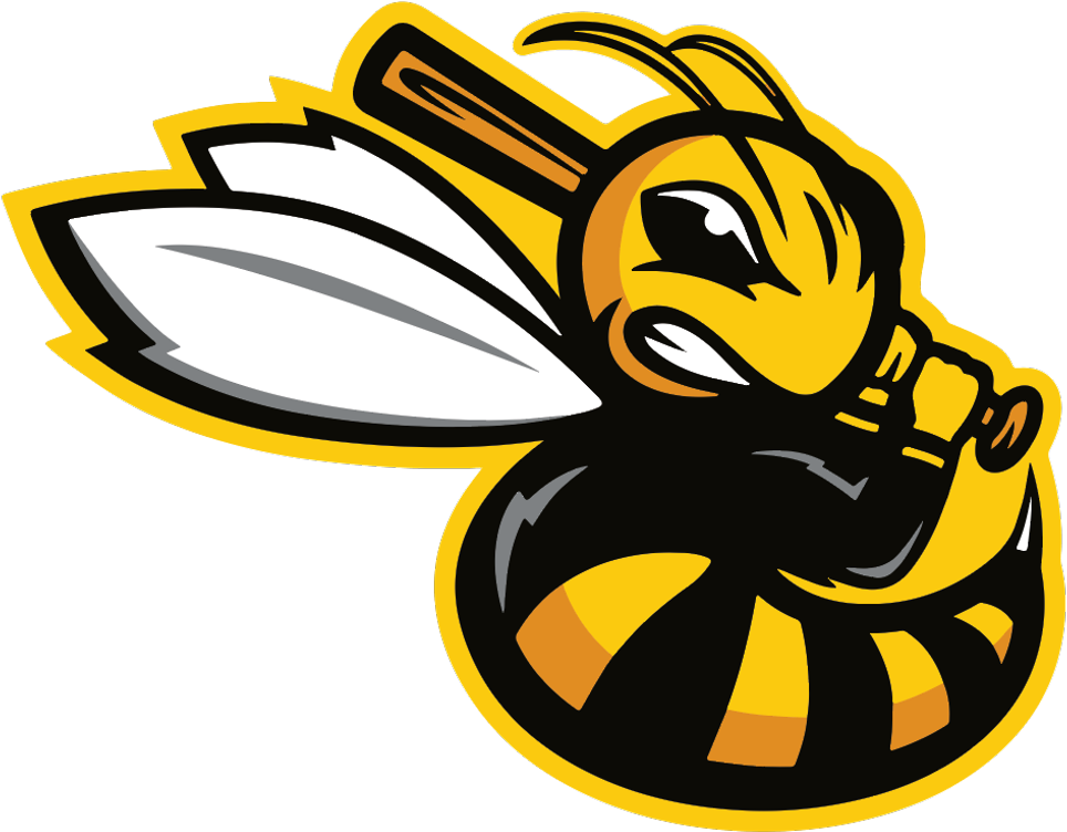 Attitude - Bee Baseball Logo (1024x877)