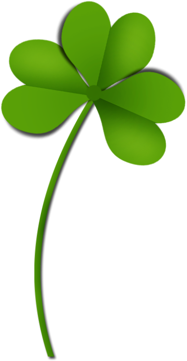 Shamrock Clover Png Picture - Clovers Pngs (444x778)