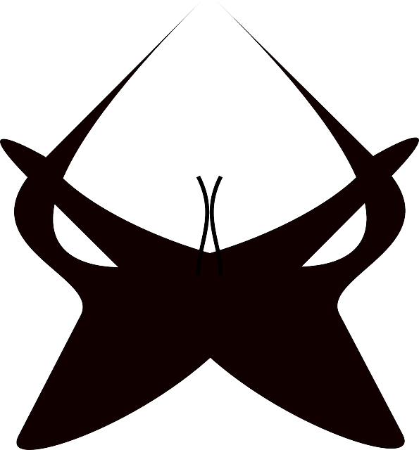 Bodice, Wear, Underwear, Female - Sexy Black White Png (595x640)