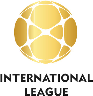 Welcome In The Second Ball3d National World Cup In - International Year Of Light (334x400)