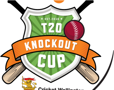 Taita To Get Second Crack At T/20 Cup - Wellington Cricket Team (427x287)