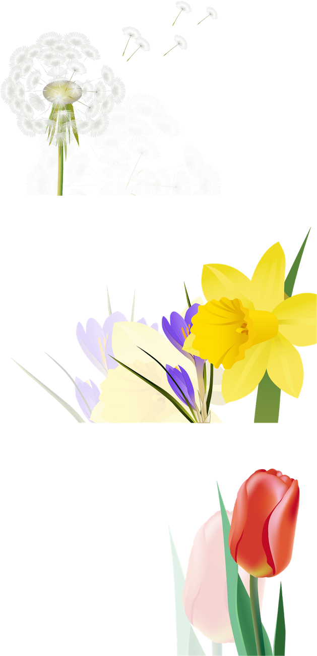 Natali На - Nosegay (628x1600)