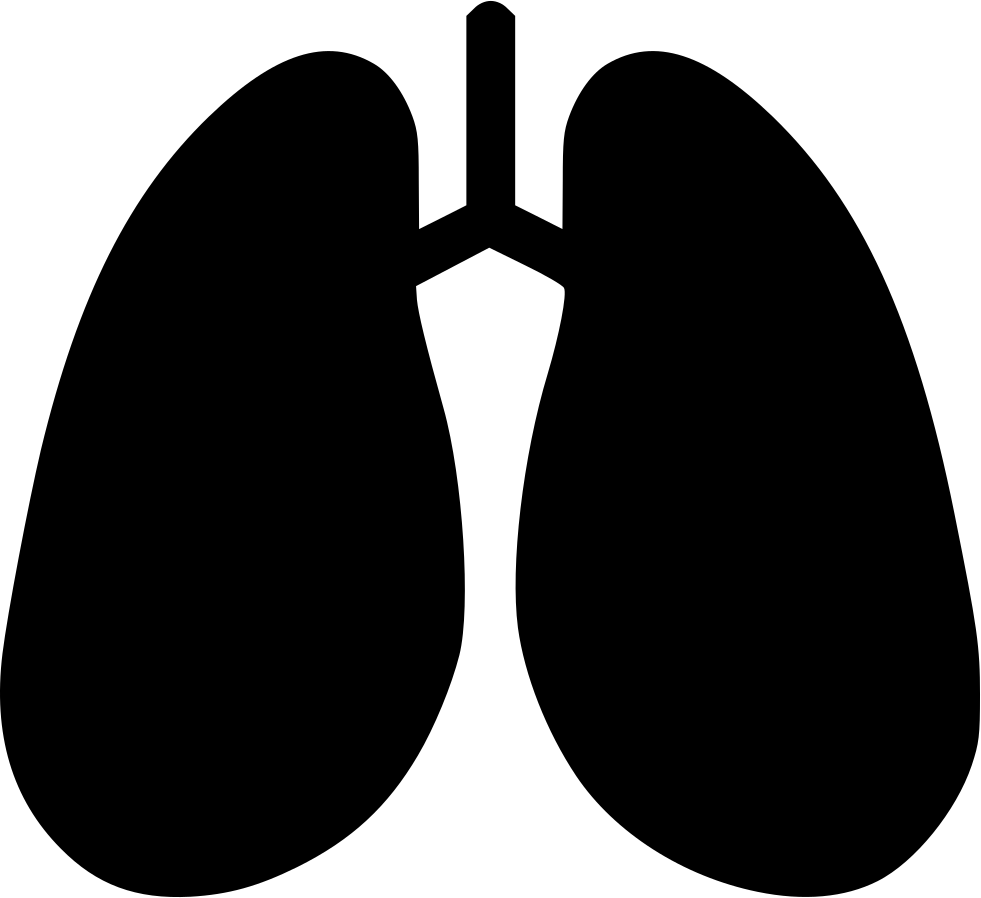 Anatomy Detoxification Hepatology Lungs Breathe Pulmonology - Medicine (981x898)