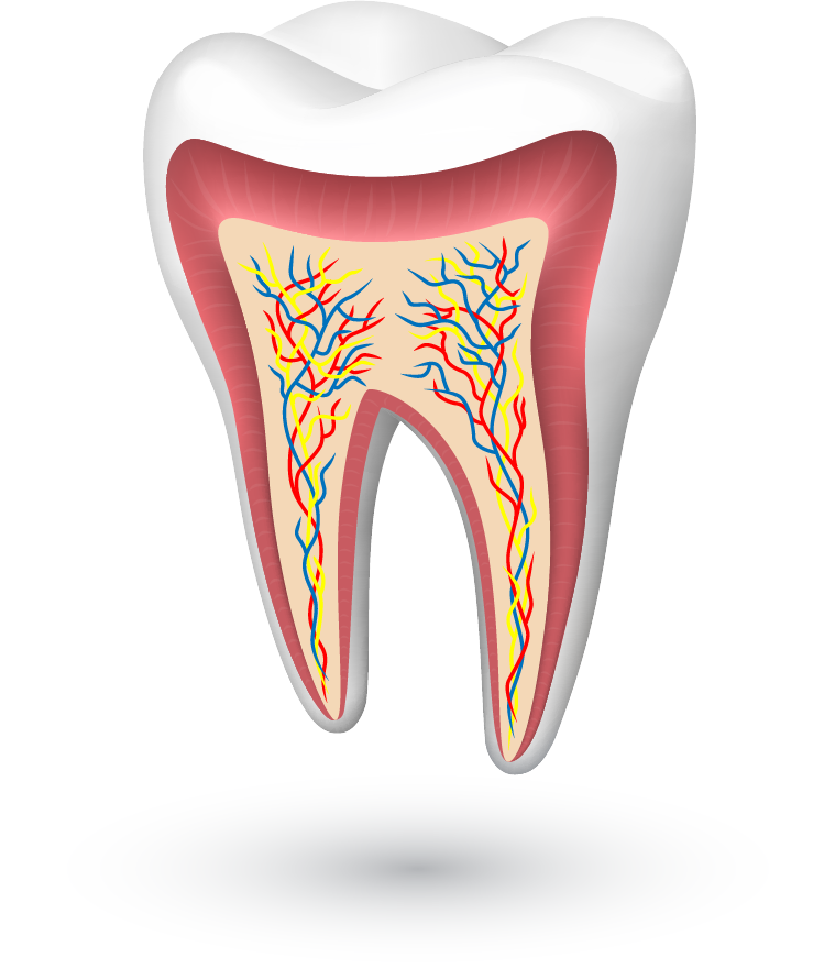 Birch Street Dentistry - Birch Street Dentistry (759x891)
