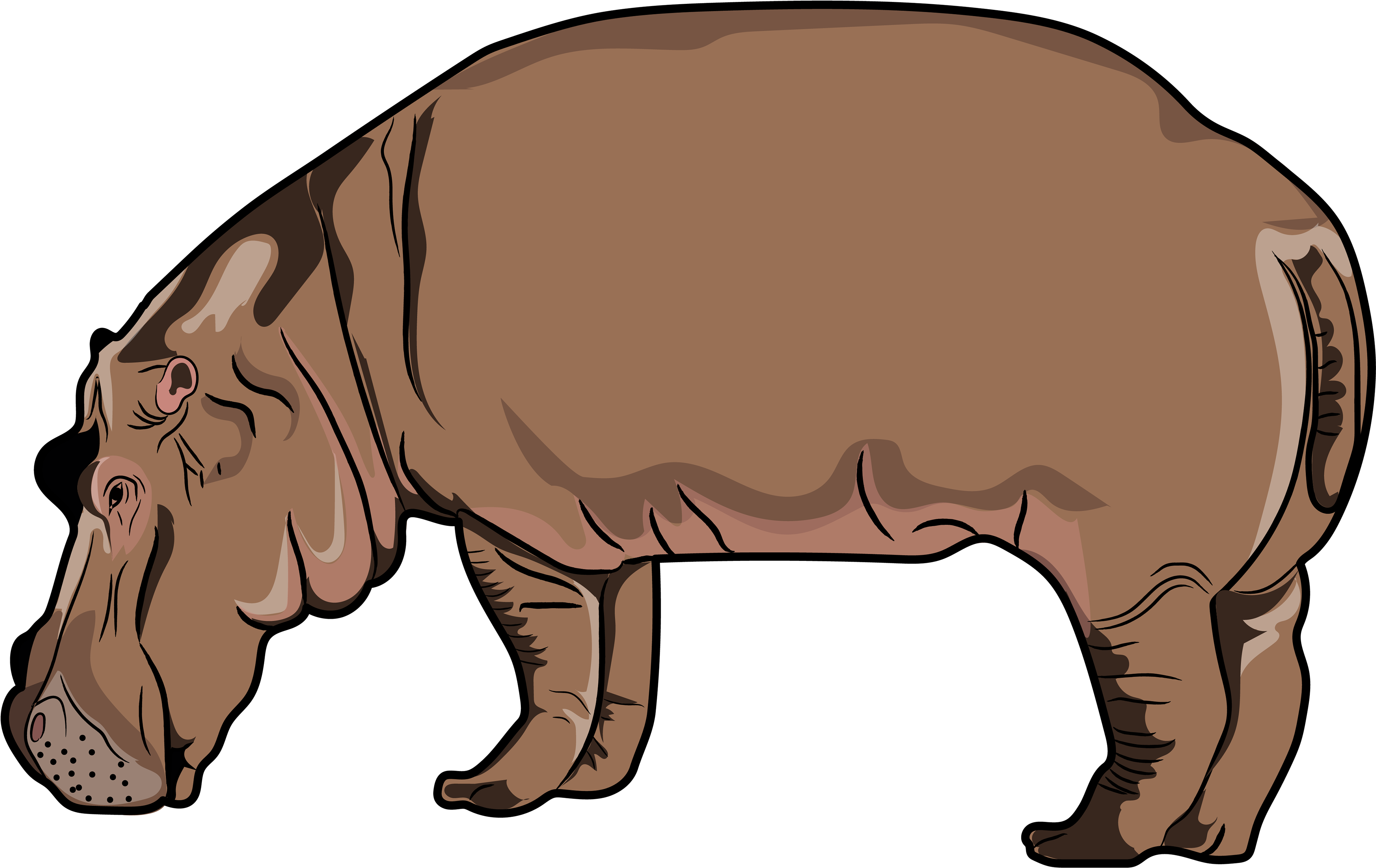 Recursos Gráficos Para Diseñadores, Jóvenes Y Profesores - Hippopotamus (3840x2491)