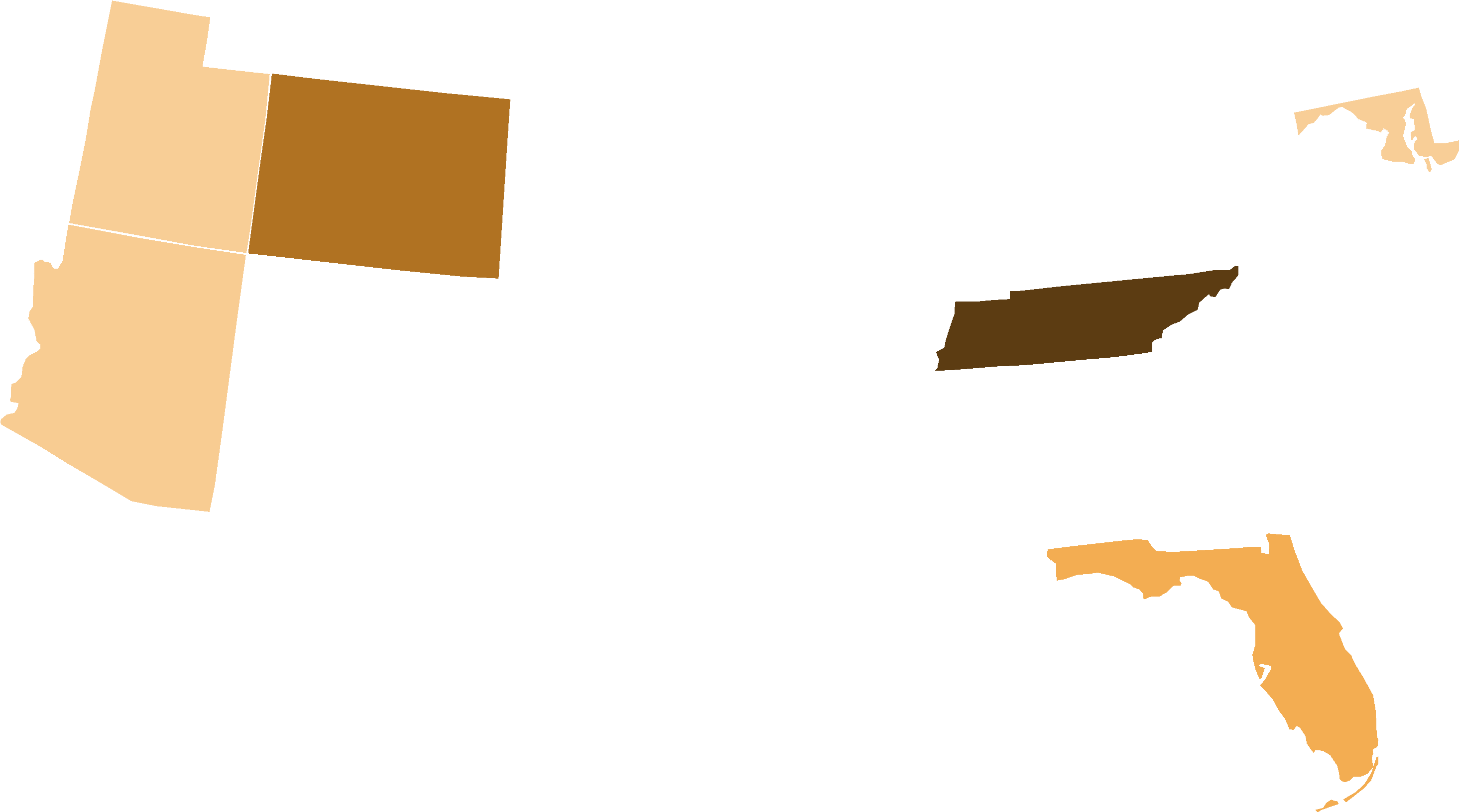 Boston Tea Party Presidential Election Results, 2008 - Florida - Home State - Gray On White - Lantern Press (4000x2473)