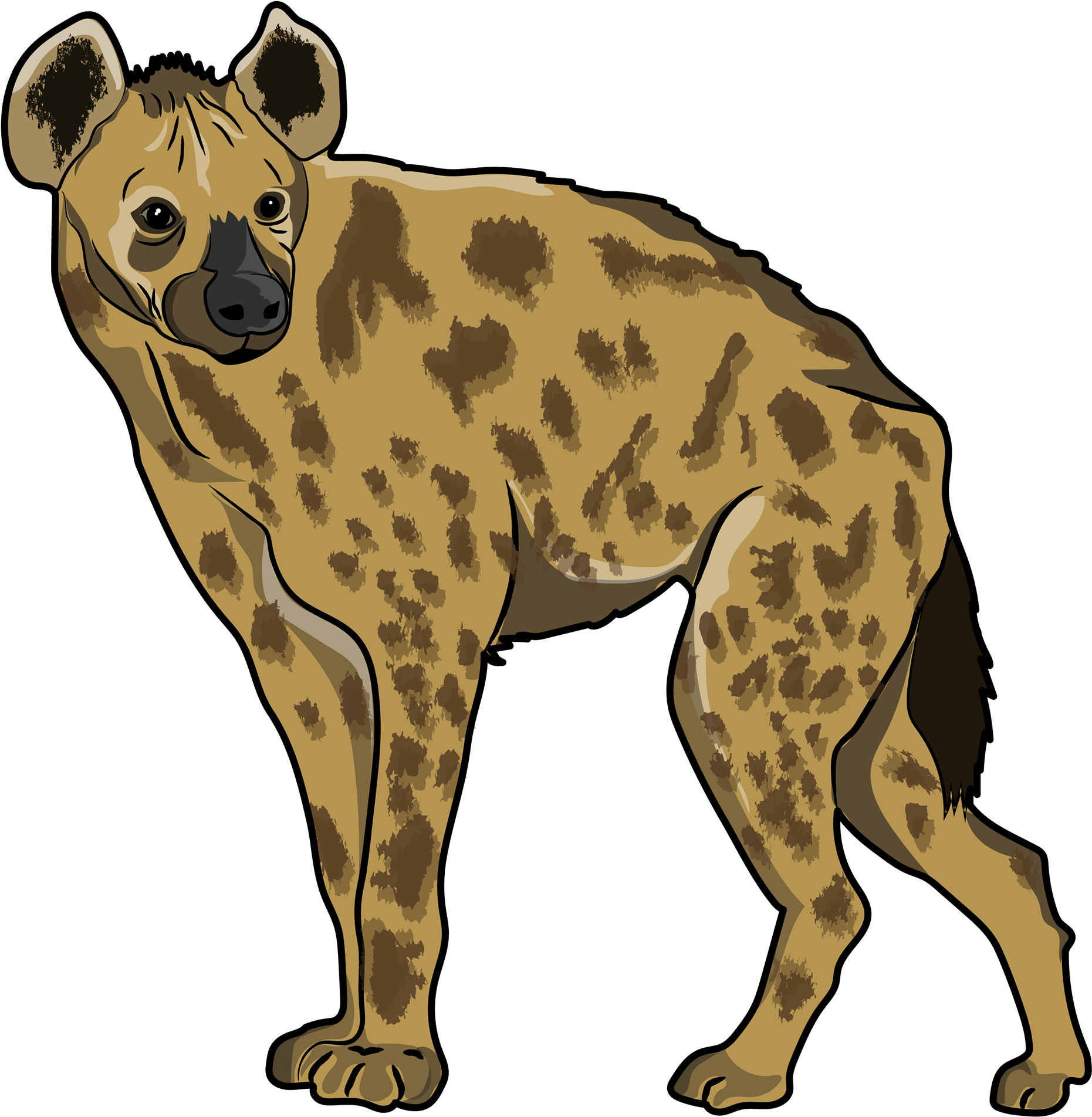 Recursos Gráficos Para Diseñadores, Jóvenes Y Profesores - Spotted Hyena (1920x2293)